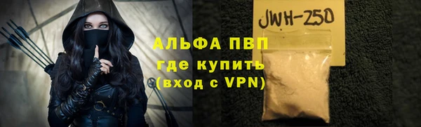 стафф Алзамай