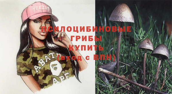 стафф Алзамай