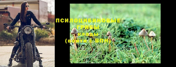 стафф Алзамай