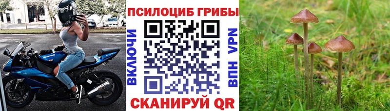 ОМГ ОМГ   Кола  Галлюциногенные грибы ЛСД 